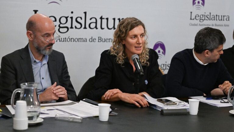 Audiencia por la renovación del Ente Regulador de los Servicios Públicos en la Legislatura porteña